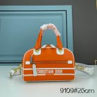 DIOR High Quality Handbags 249
