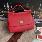 Dolce & Gabbana High Quality Handbags 145