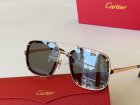 Cartier High Quality Sunglasses 173