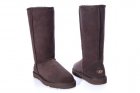 UGG Women's Shoes 154