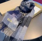 Burberry Scarves 88