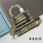 DIOR High Quality Handbags 419