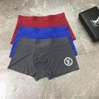 Louis Vuitton Men's Underwear 30