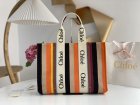 Chloe Original Quality Handbags 339