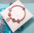 Pandora Jewelry 1040