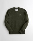 Abercrombie & Fitch Men's Sweaters 08