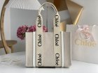 Chloe Original Quality Handbags 170