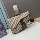 DIOR High Quality Handbags 457