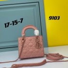 DIOR High Quality Handbags 388