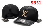 Louis Vuitton Normal Quality Hats 32