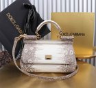 Dolce & Gabbana High Quality Handbags 582