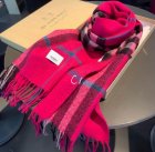 Burberry Scarves 04