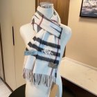 Burberry Scarves 165