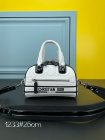 DIOR High Quality Handbags 127