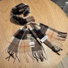 Burberry Scarves 101