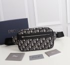 DIOR High Quality Handbags 04