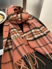 Burberry Scarves 220