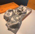 Louis Vuitton Scarves 244