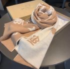 Burberry Scarves 384