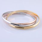 Cartier Jewelry Bracelets 510