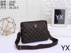 Louis Vuitton Normal Quality Handbags 309