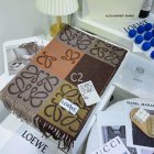 Loewe Scarves 91