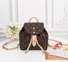 Louis Vuitton Backpack 127