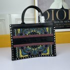 DIOR High Quality Handbags 172