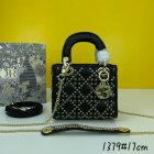 DIOR High Quality Handbags 235