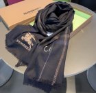 Burberry Scarves 320