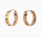 Dior Jewelry Earrings 189