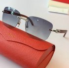 Cartier High Quality Sunglasses 1008
