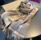 Burberry Scarves 206
