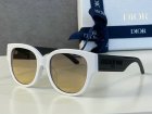 DIOR High Quality Sunglasses 1921