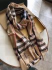 Burberry Scarves 282