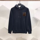 Louis Vuitton Men's Hoodies 20