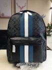 Coach High Quality Handbags 135