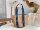 Chloe Original Quality Handbags 129