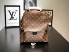 Louis Vuitton Backpack 143