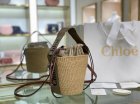 Chloe Original Quality Handbags 216
