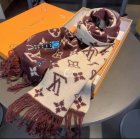 Louis Vuitton Scarves 16