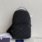 DIOR High Quality Handbags 106