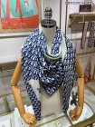 DIOR Scarves 76