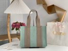 Chloe Original Quality Handbags 153