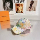 Louis Vuitton High Quality Hats 176
