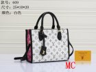 Louis Vuitton Normal Quality Handbags 287