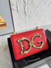 Dolce & Gabbana Original Quality Handbags 19