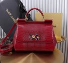 Dolce & Gabbana High Quality Handbags 354