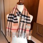 Burberry Scarves 14