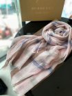 Burberry Scarves 353